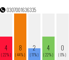 Telefonnummer 0307001636335