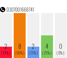 Telefonnummer 0307001668741