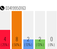 Telefonnummer 03419950163