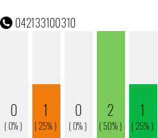 Telefonnummer 042133100310