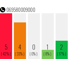 Telefonnummer 069580009000