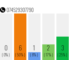 Telefonnummer 074529307790