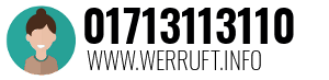 01713113110