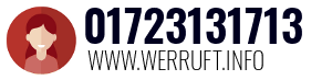 01723131713