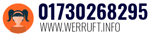 01730268295
