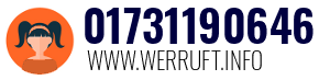 01731190646