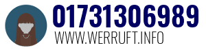 01731306989