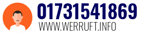 01731541869