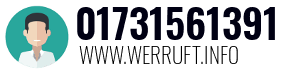 01731561391