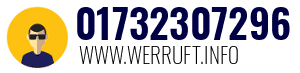 01732307296