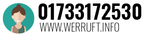 01733172530