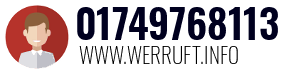 01749768113