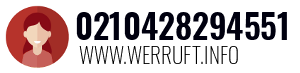 0210428294551