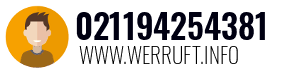 021194254381