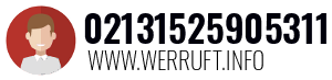 02131525905311