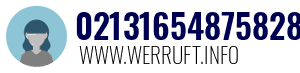 02131654875828