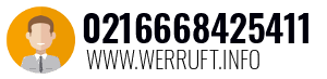 0216668425411