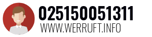 025150051311