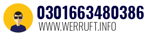 0301663480386