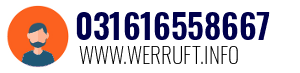 031616558667