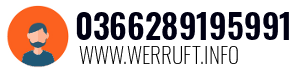 0366289195991