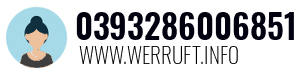 0393286006851