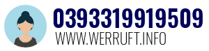 0393319919509