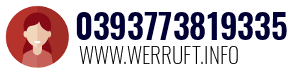 0393773819335