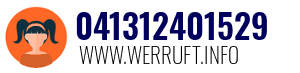 041312401529