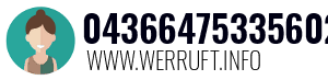 04366475335602