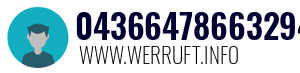 04366478663294