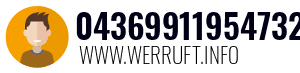 04369911954732