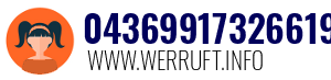 04369917326619