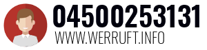 04500253131