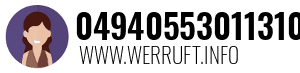 04940553011310