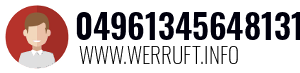 04961345648131