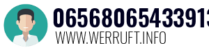 06568065433913