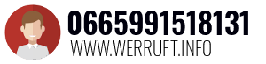 0665991518131