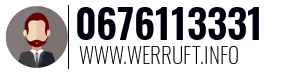 0676113331