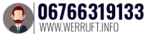 06766319133