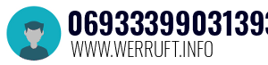 06933399031393