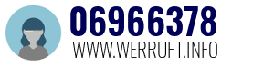 06966378