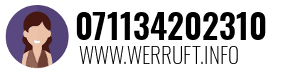 071134202310