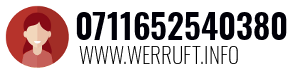 0711652540380