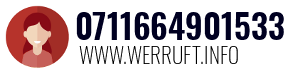 0711664901533