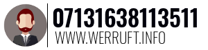 07131638113511