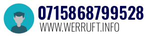 0715868799528
