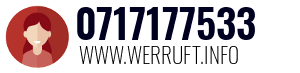 0717177533