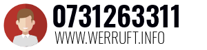 0731263311