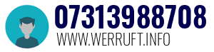 07313988708
